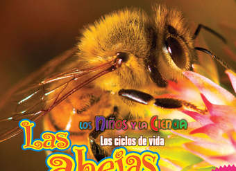 Las abejas