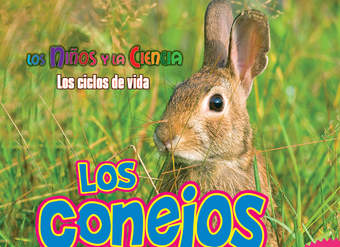 Los conejos