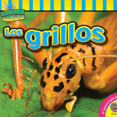 Los grillos