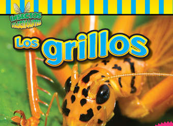 Los grillos