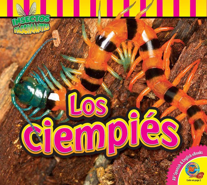 Los ciempiés