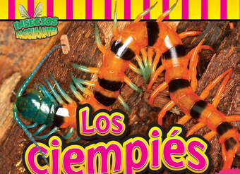 Los ciempiés