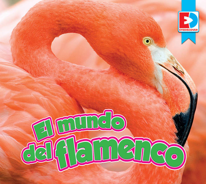 El mundo del flamenco