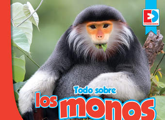 Todo sobre los monos