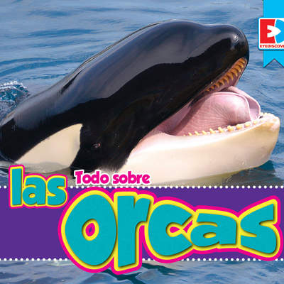 Todo sobre las orcas