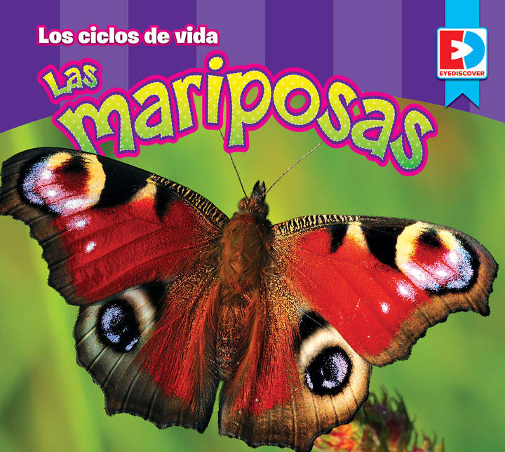 Los ciclos de vida — Las Mariposas