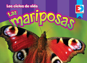 Los ciclos de vida — Las Mariposas