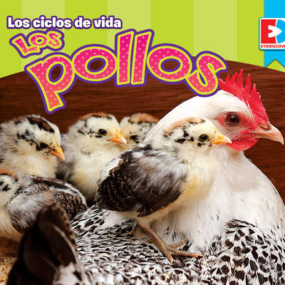 Los ciclos de vida — Los Pollos