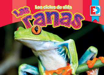 Los ciclos de vida — Las Ranas