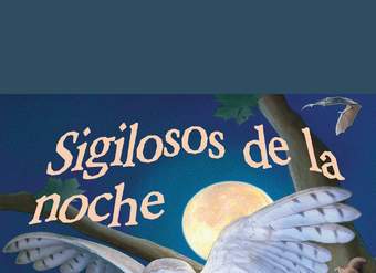 Sigilosos de la noche