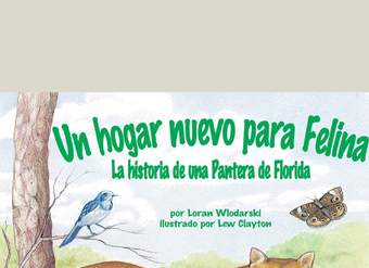 Un hogar nuevo para Felina. La historia de una Pantera de Florida