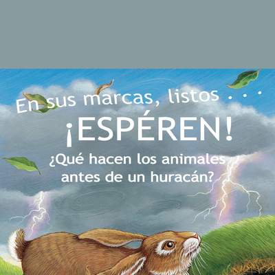 En sus marcas, listos… ¡Espéren! ¿Qué hacen los animales antes de un huracán?