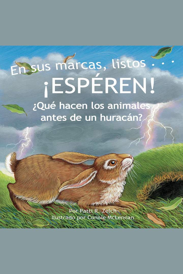 En sus marcas, listos… ¡Espéren! ¿Qué hacen los animales antes de un huracán?