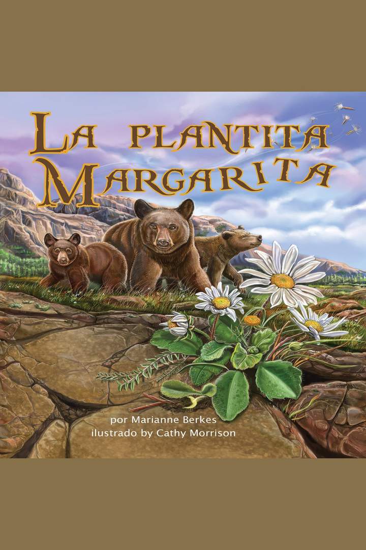 La plantita Margarita