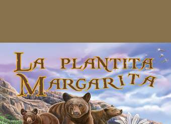 La plantita Margarita