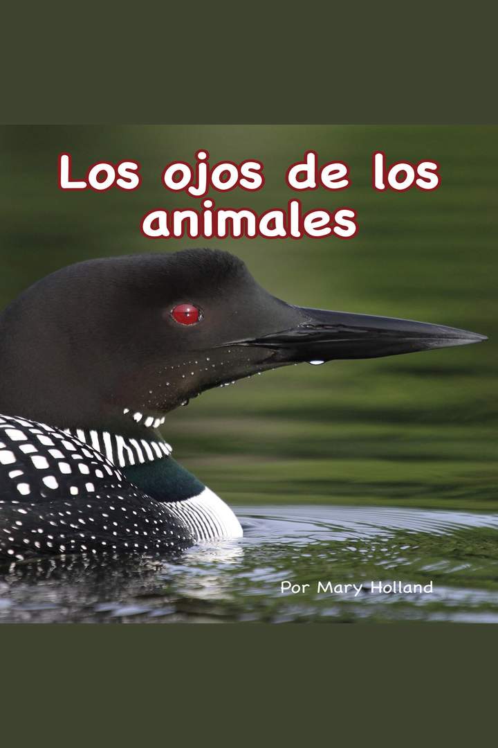 Los ojos de los animales