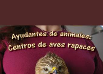 Ayudantes de animales: centros de aves rapaces