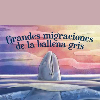 Grandes migraciones de la ballena gris