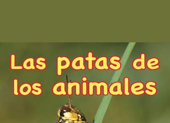 Patas de los animales