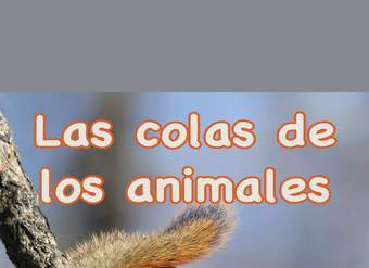 Las colas de los animales