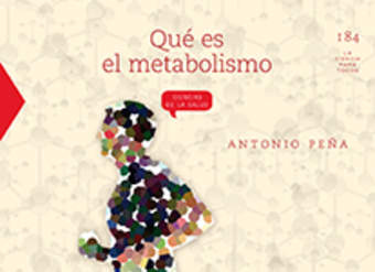 Qué es el metabolismo