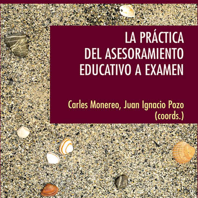 La práctica del asesoramiento educativo a examen