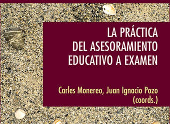 La práctica del asesoramiento educativo a examen