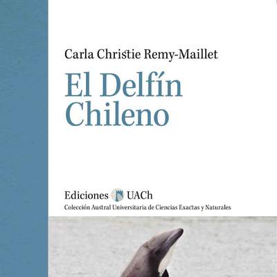 El delfín chileno