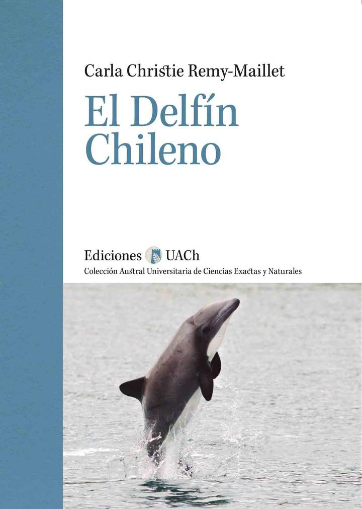 El delfín chileno