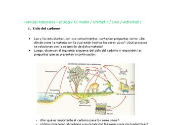 Ciencias Naturales 1 medio-Unidad 3-OA6-Actividad 1