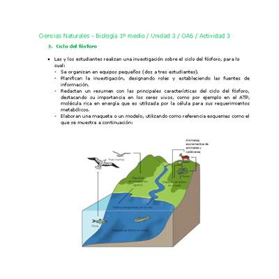 Ciencias Naturales 1 medio-Unidad 3-OA6-Actividad 3