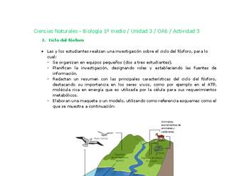 Ciencias Naturales 1 medio-Unidad 3-OA6-Actividad 3