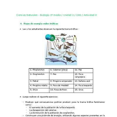 Ciencias Naturales 1 medio-Unidad 3-OA6-Actividad 4