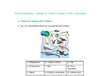 Ciencias Naturales 1 medio-Unidad 3-OA6-Actividad 4