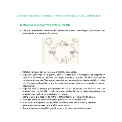 Ciencias Naturales 1 medio-Unidad 3-OA7-Actividad 6