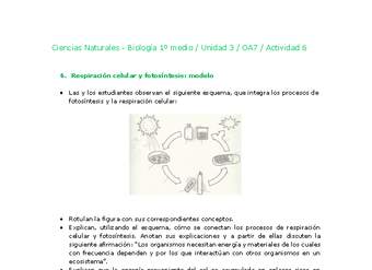 Ciencias Naturales 1 medio-Unidad 3-OA7-Actividad 6