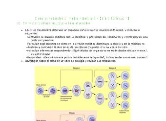 Ciencias Naturales 2 medio-Unidad 3-OA6-Actividad 10