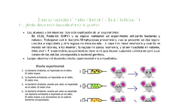 Ciencias Naturales 2 medio-Unidad 3-OA6-Actividad 11