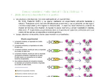 Ciencias Naturales 2 medio-Unidad 3-OA6-Actividad 11