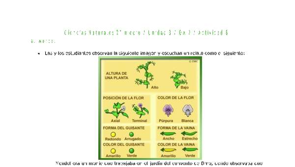 Ciencias Naturales 2 medio-Unidad 3-OA7-Actividad 8