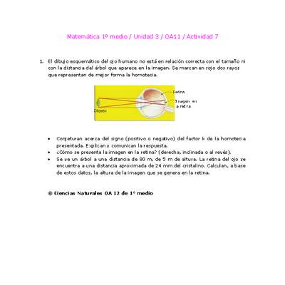 Matemática 1 medio-Unidad 3-OA11-Actividad 7