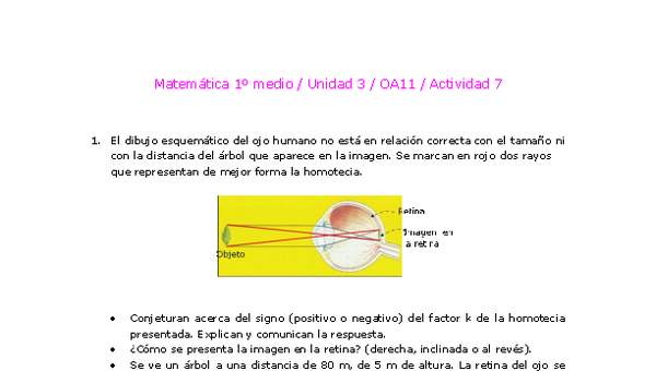 Matemática 1 medio-Unidad 3-OA11-Actividad 7