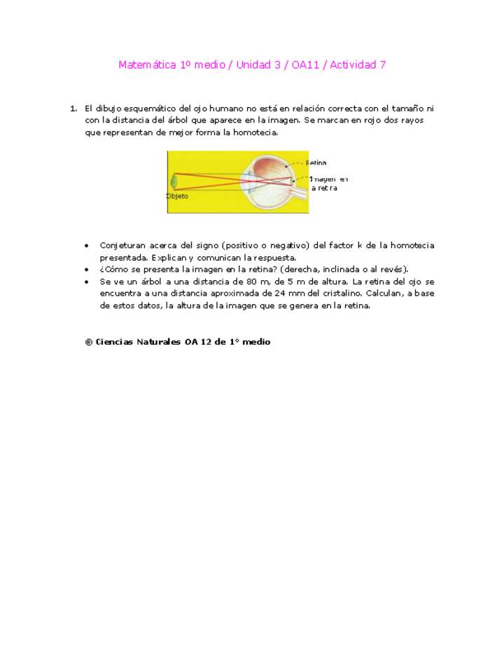 Matemática 1 medio-Unidad 3-OA11-Actividad 7