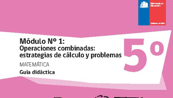 Guía didáctica: Módulo Nº 1. Operaciones combinadas: estrategias de cálculo y problemas