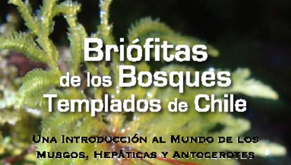 Guía de campo briófitas de los bosques templados de Chile - Una introducción al mundo de los musgos, hepáticas y antocerotes.