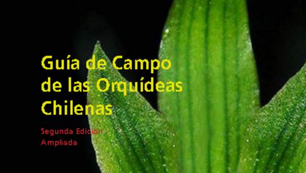 Guía de campo de las orquídeas chilenas.