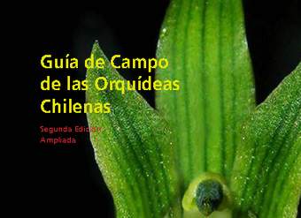 Guía de campo de las orquídeas chilenas.