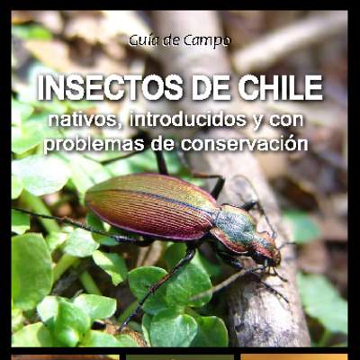 Guía de campo Insectos de Chile - Nativos, introducidos y con problemas de conservación.