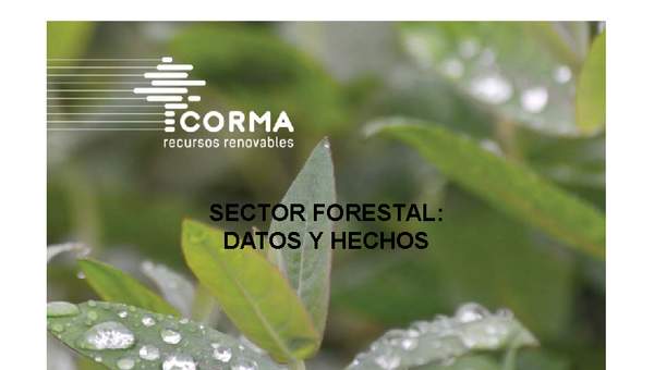 Sector forestal datos y hechos