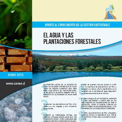 El agua y las plantaciones forestales